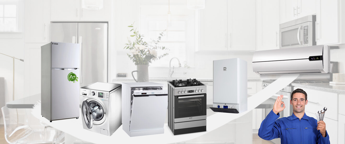 Gümüşova Electrolux Servisi